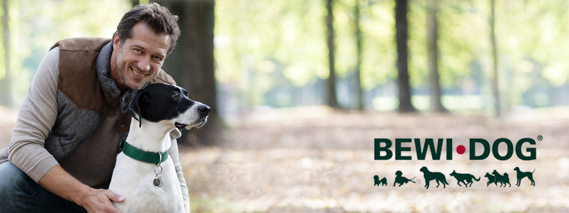 bewidog-header