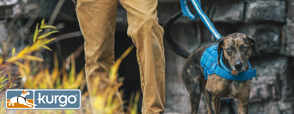 kurgo-headbanner