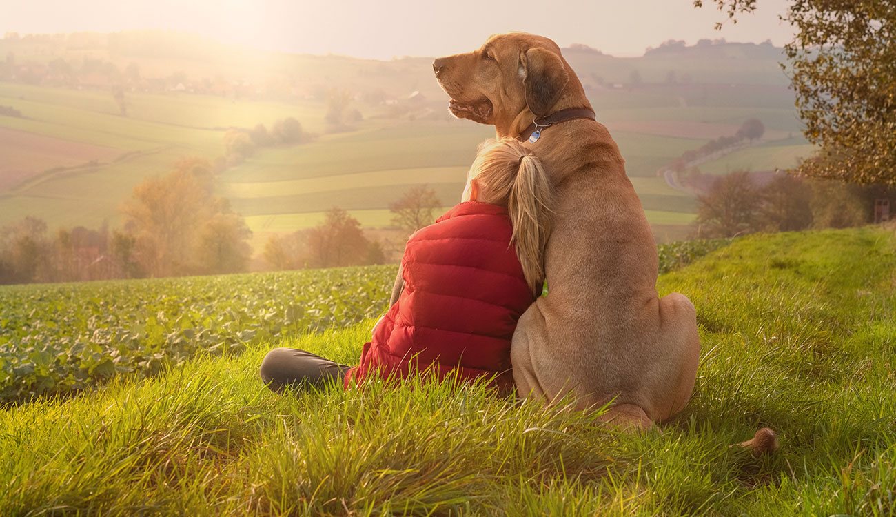 hund-und-frau-vor-sonnenuntergang