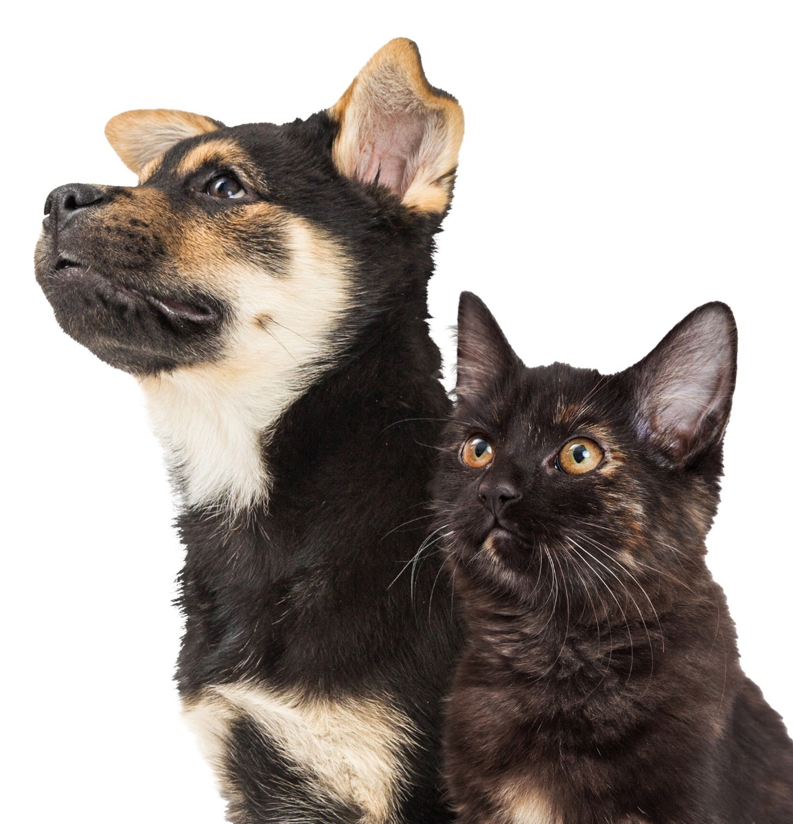 AdobeStock_431814196