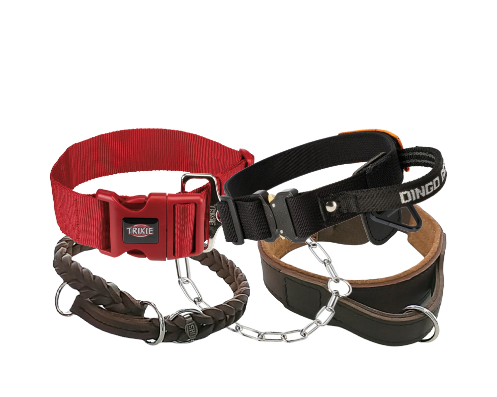 halsbaender-und-ketten