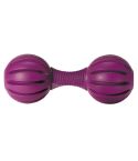 PetSafe Busy Buddy Waggle