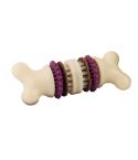 PetSafe Busy Buddy Bristle Bone