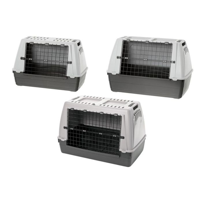 Transportbox Cargo Pro Bracco