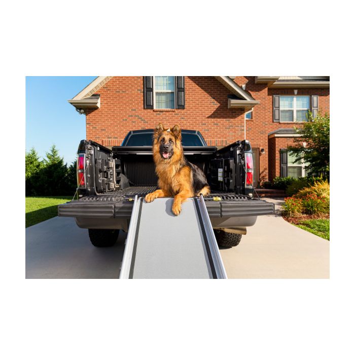 Tailgate dog ramp hotsell