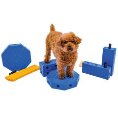 FitPaws FitKinect Core