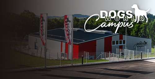 WISSEN.
TRAINING.
LEIDENSCHAFT.